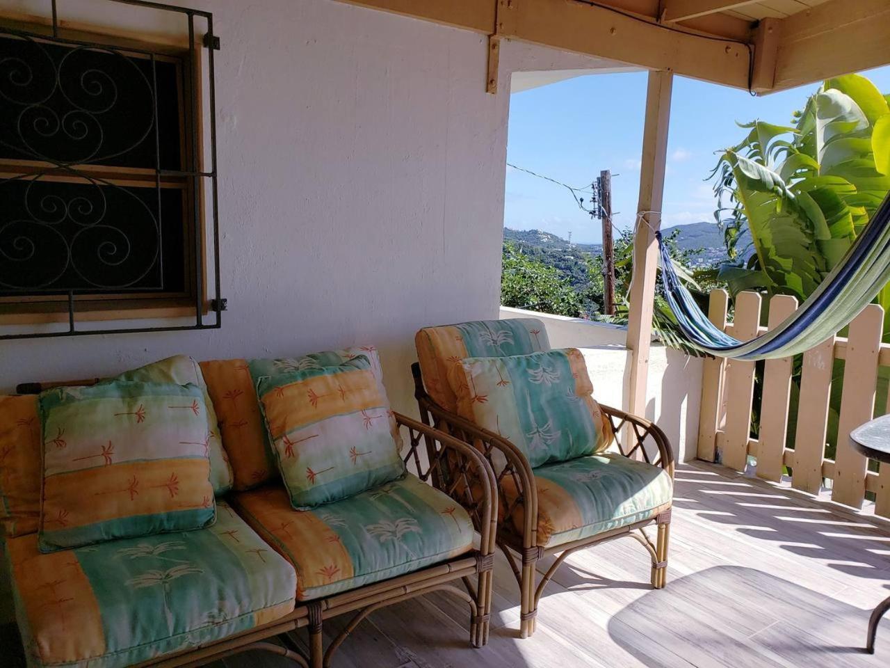 Little Indigo Apartments Mafolie Εξωτερικό φωτογραφία
